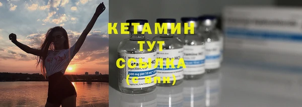 твердый Пересвет
