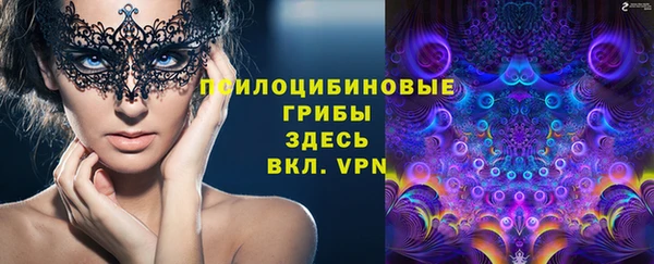 твердый Пересвет