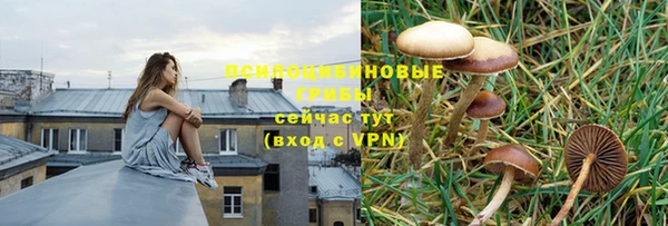 прущие крисы Осташков