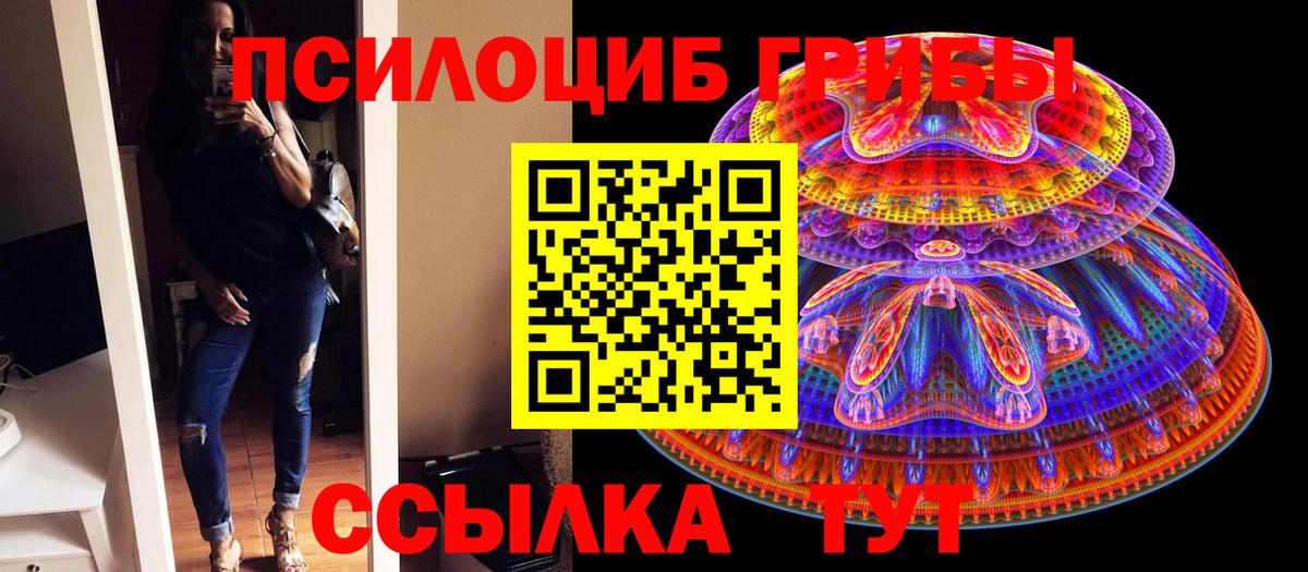 Псилоцибиновые грибы Psilocybine cubensis Крымск