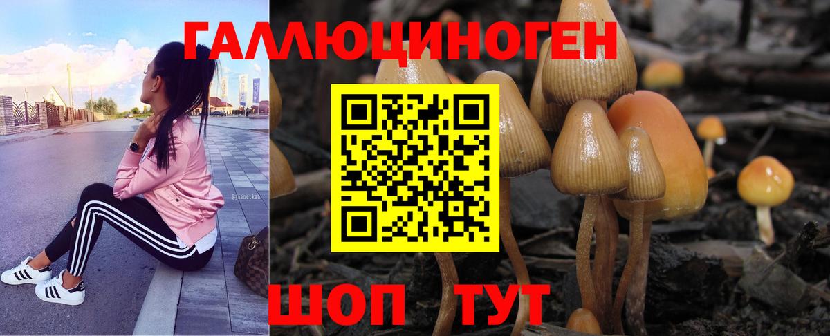 Галлюциногенные грибы Psilocybe  Галлюциногенные грибы MAGIC MUSHROOMS  Крымск  Вход с VPN 