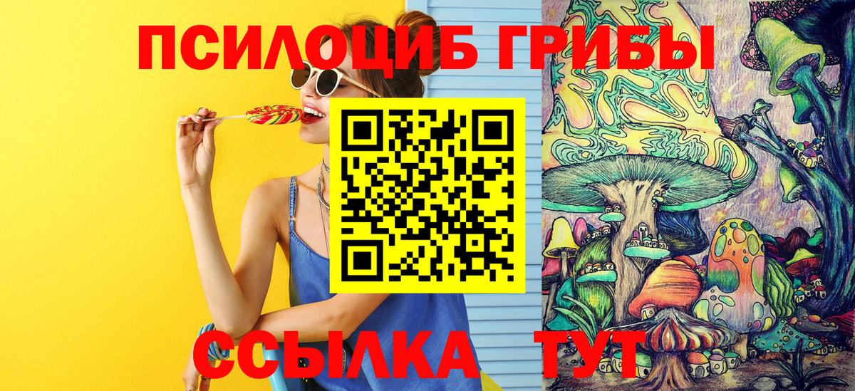 Галлюциногенные грибы Psilocybine cubensis Крымск