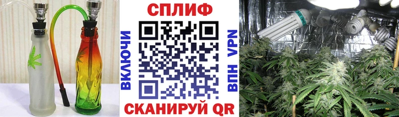 магазин Крымск Конопля конопля